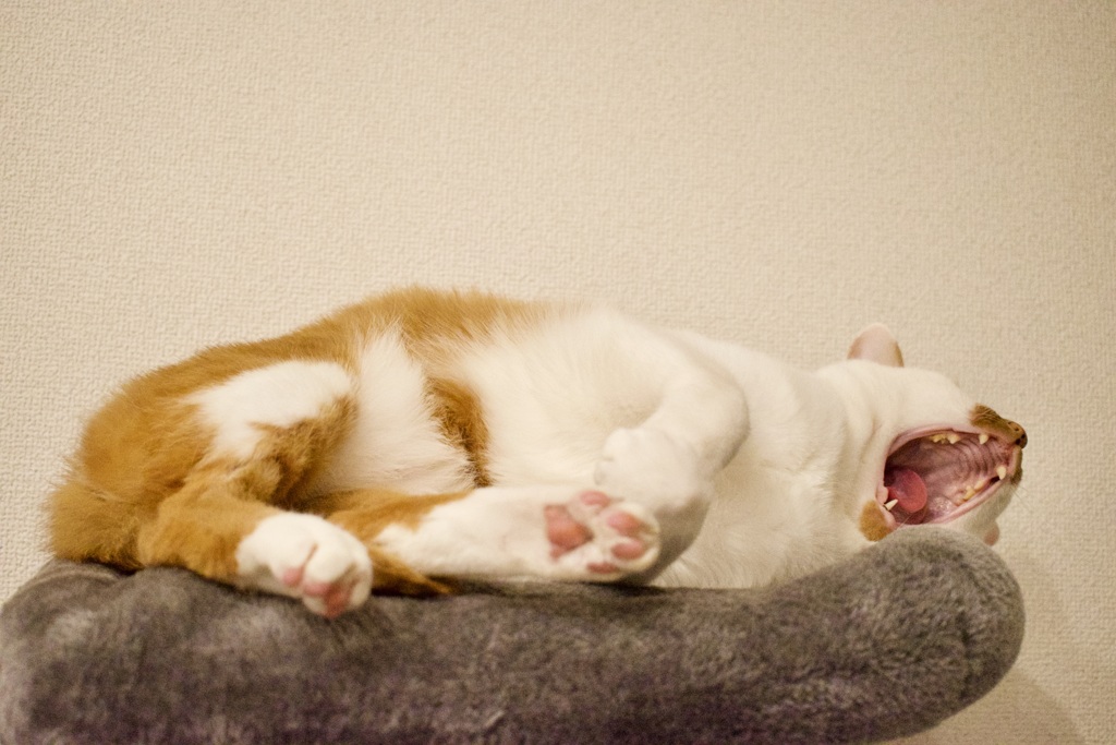 Such a tough day.