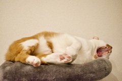 Such a tough day.