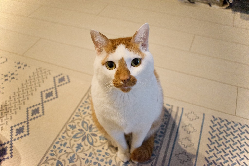 じーー