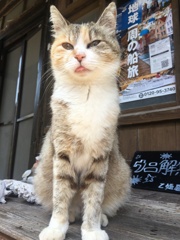 ぺろっ