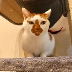 「emmm」