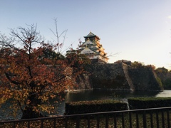 深秋の大阪城