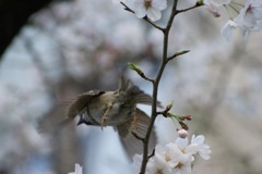 飛んだ