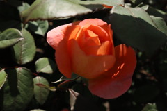 20210530145111_IMG_1287