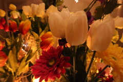 20201129190503_IMG_1179