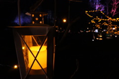 20201129182904_IMG_1143