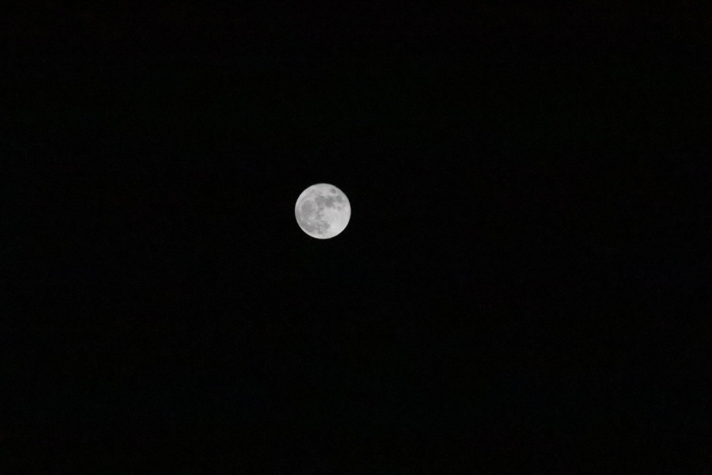20210921220115_IMG_1420