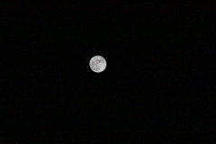 20210921220115_IMG_1420