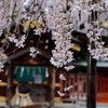 神社にて。