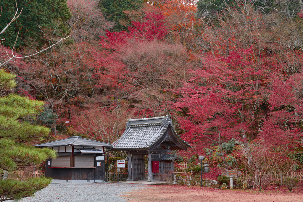 晩秋の山寺