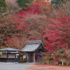 晩秋の山寺