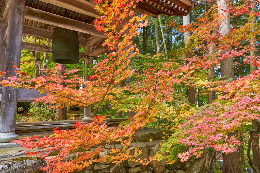 鐘楼と紅葉　＃１