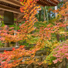 鐘楼と紅葉　＃１