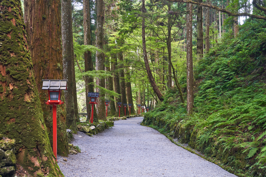 静寂の参道