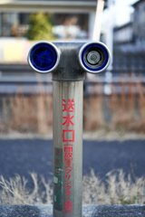 独眼竜