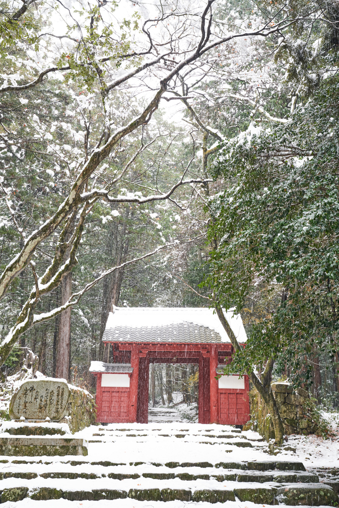 赤門　雪