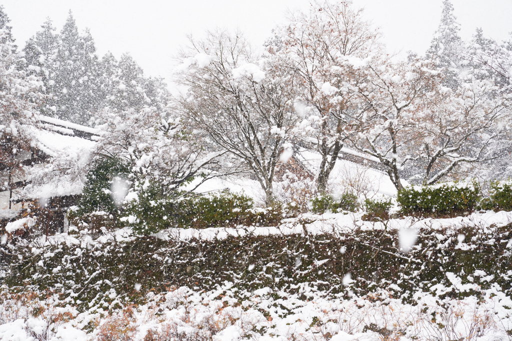 山寺の冬