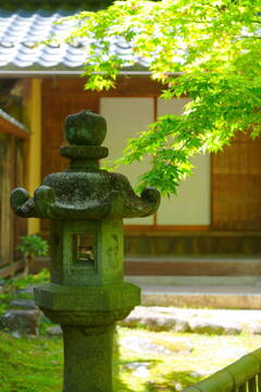 新緑の紅葉寺＃5