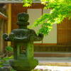 新緑の紅葉寺＃5