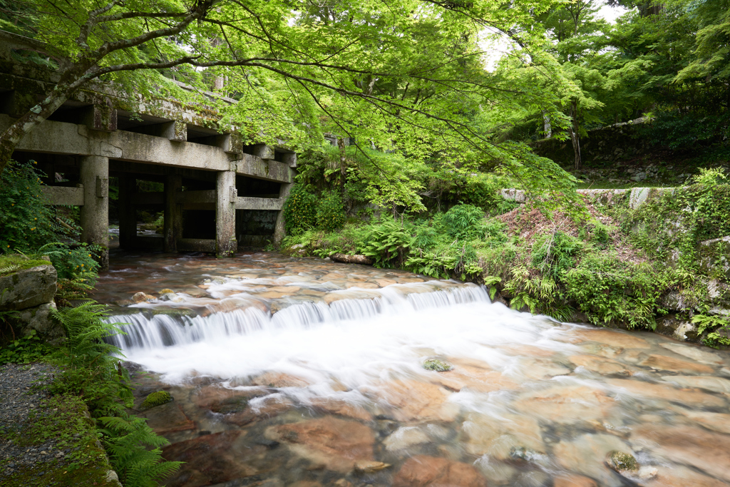 石橋　涼