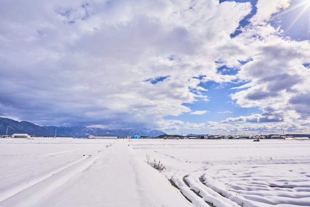 近くの雪景色と少しウニウニ