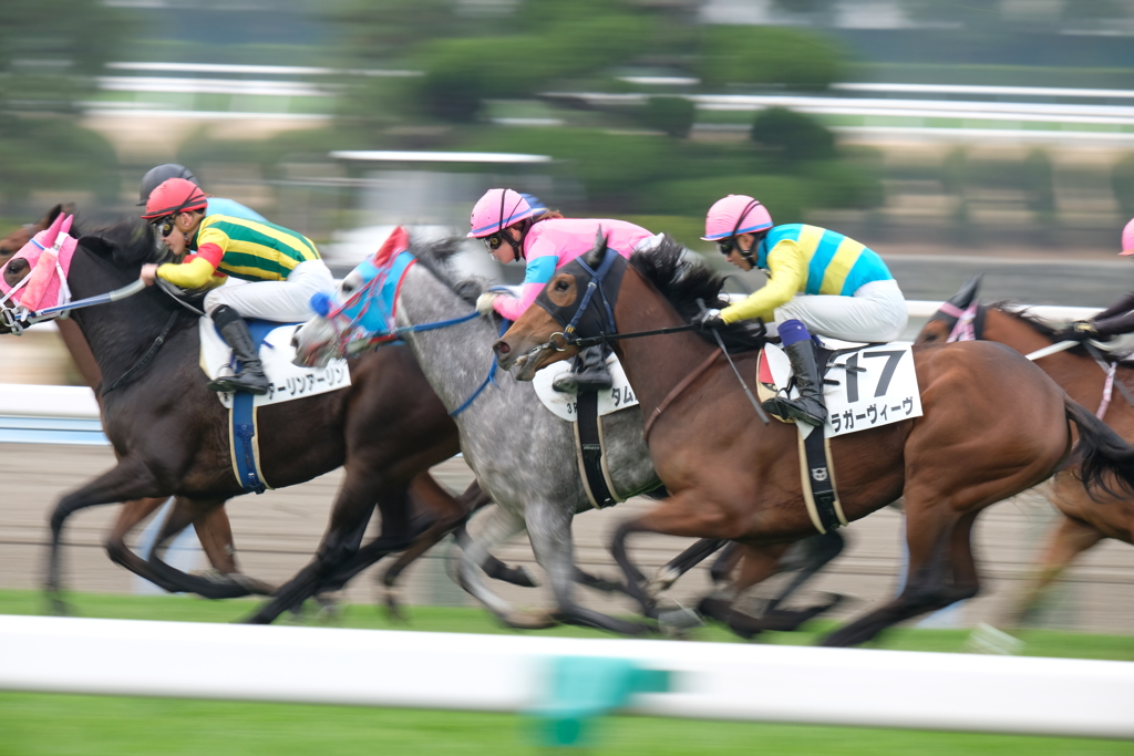 小倉競馬場にて 2