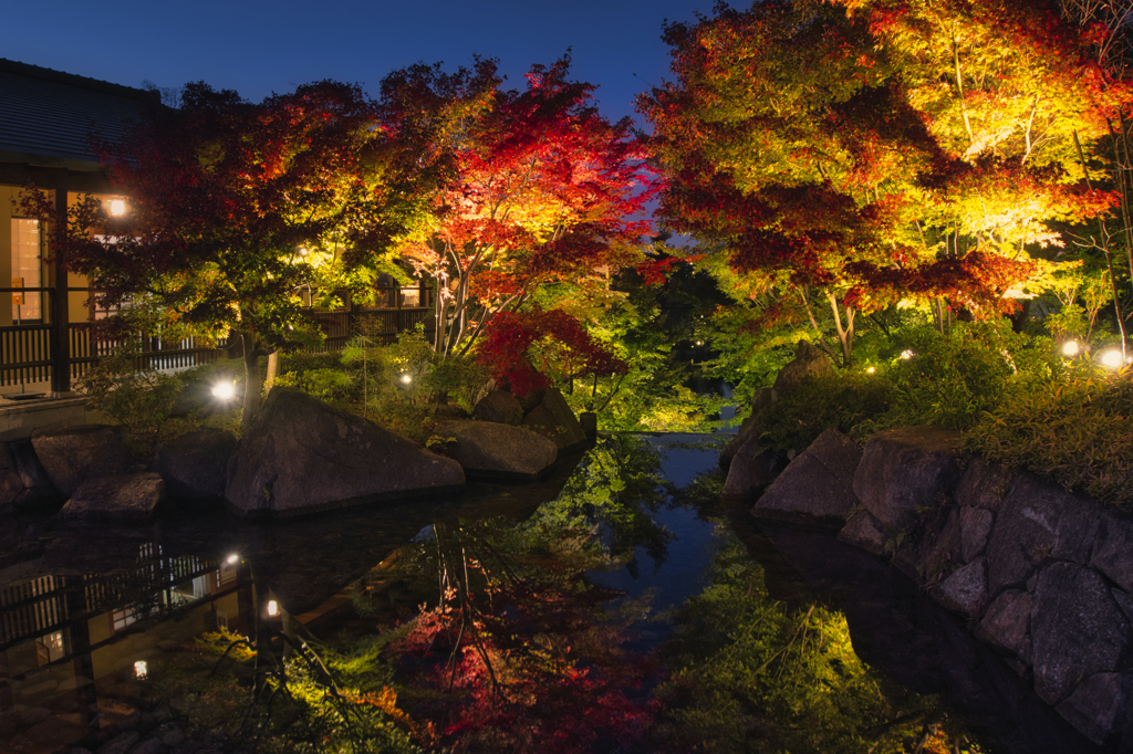 徳川園の紅葉