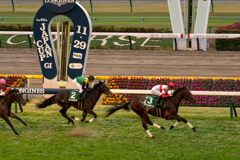 今のところダービー馬候補