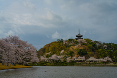 風景写真は楽しい