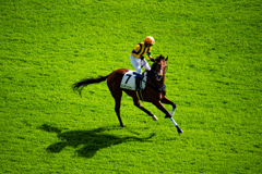 久しぶりの競馬場
