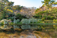 三渓園の昼下がり