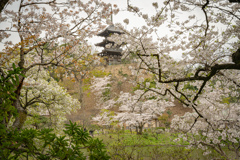 もうすぐ雨が振り始める
