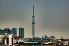  TOKYO SKYTREE