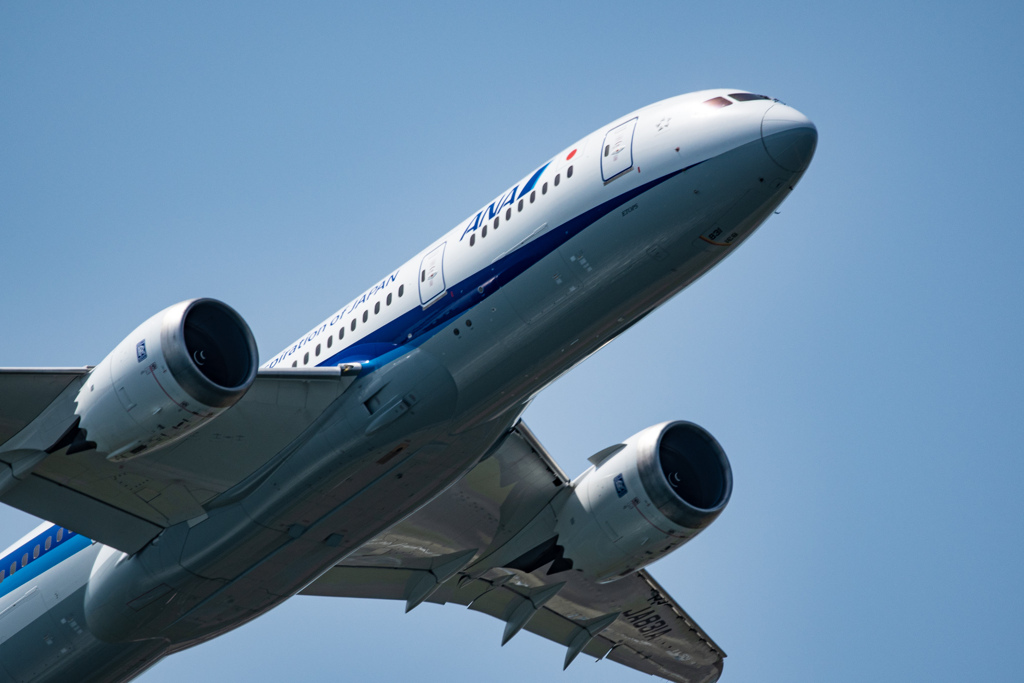 飛行機撮影は楽しかも