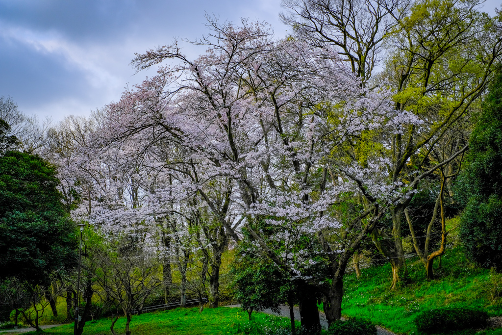 児童遊園地で