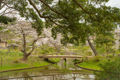 木の橋