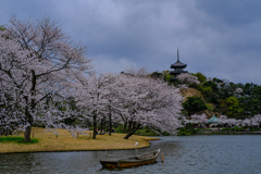 春は天気との闘い