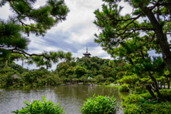 ン十年ぶりの三渓園