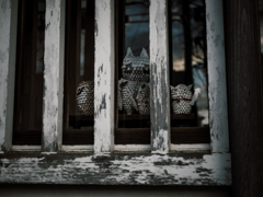 ガラス越し物語 Ⅲ