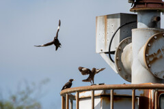 子供達の遊び場