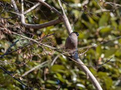 最寄りの公園 Ⅱ