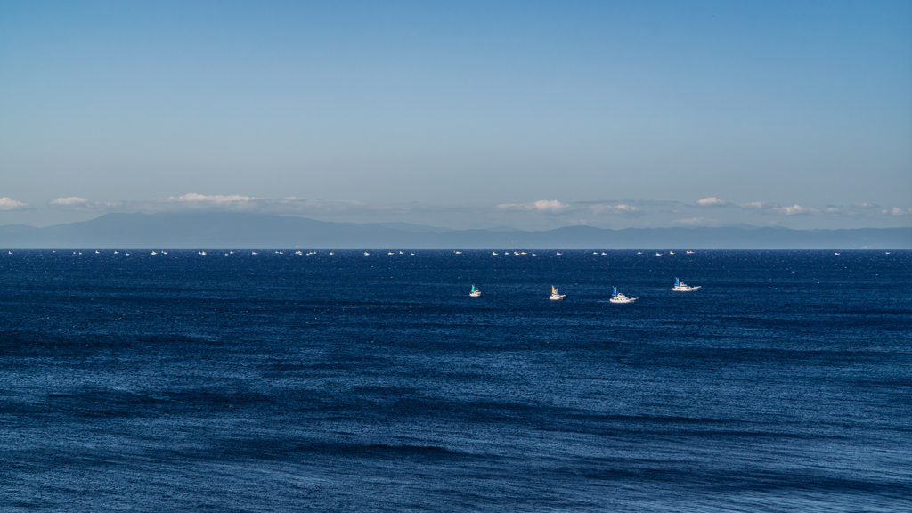 海の恵み