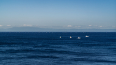 海の恵み