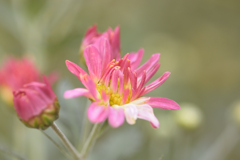 そこはかとなく