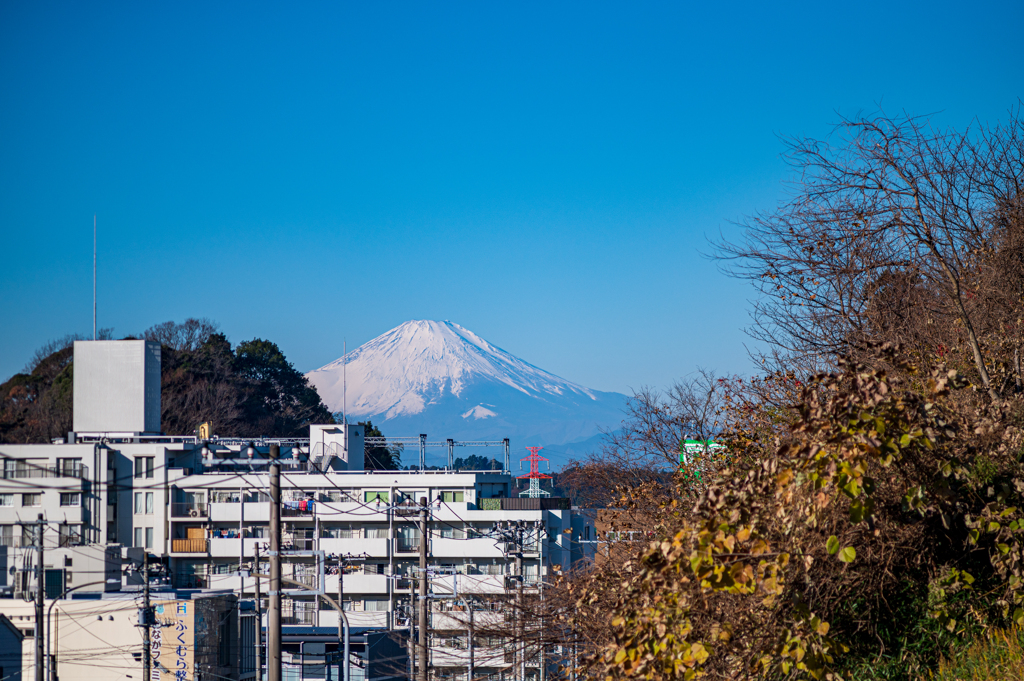 町内の初富士