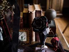 黒薔薇の花言葉 黒薔薇の花言葉