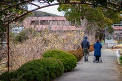 蠟梅の咲く道（610万画素／中景作例）