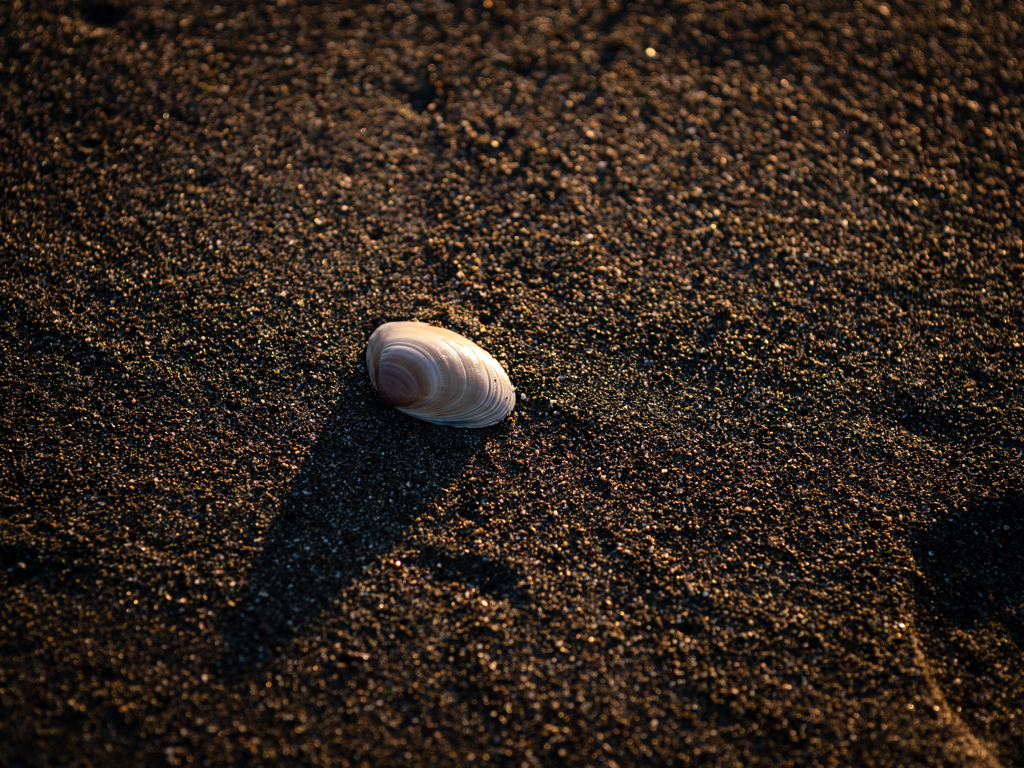 Like Someone in Love