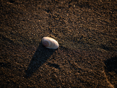 Like Someone in Love