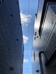 路地の空